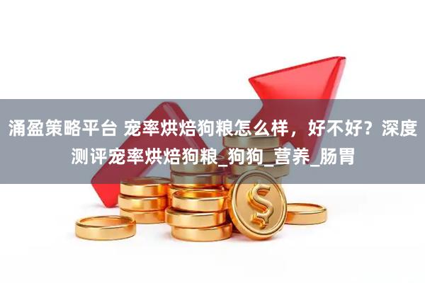 涌盈策略平台 宠率烘焙狗粮怎么样，好不好？深度测评宠率烘焙狗粮_狗狗_营养_肠胃